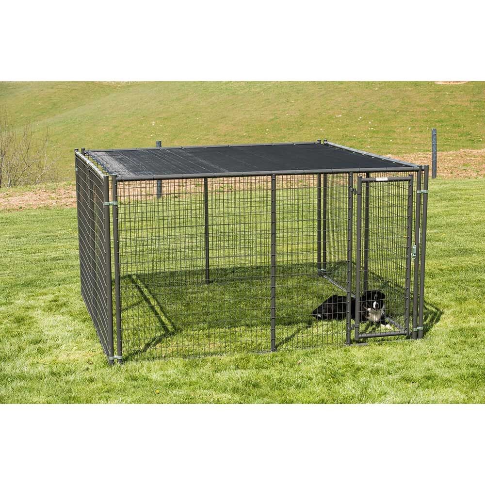 10x10 dog kennel