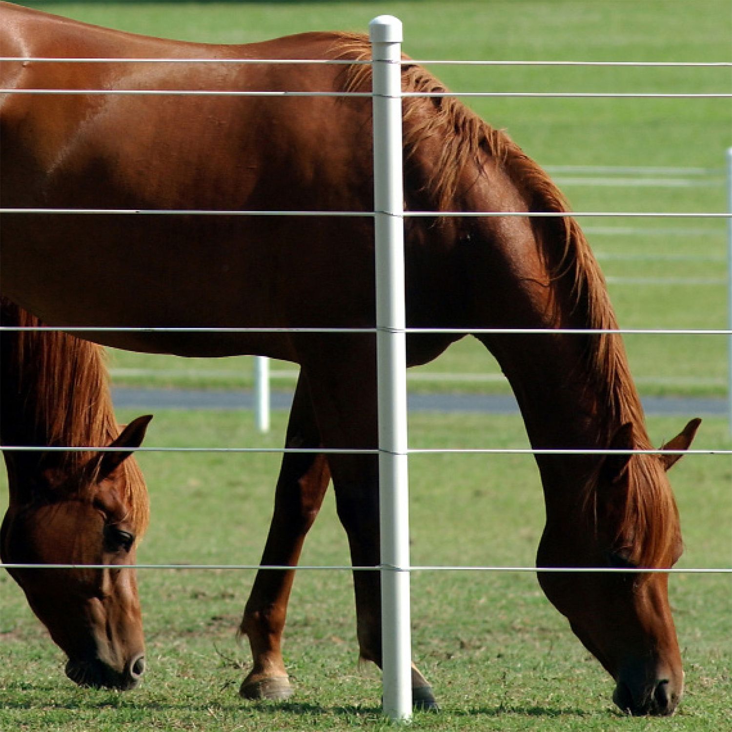 Selecting and Installing High Tensile Horse Fence